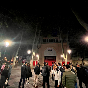 Visita al centro histórico de la ciudad de Pamplona donde se pudo apreciar la integración estética y confort visual.