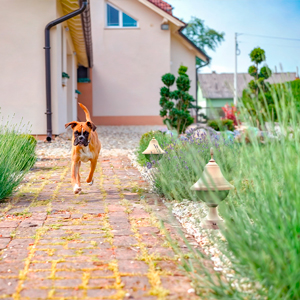 El orín de las mascotas resulta extremadamente agresivo con los metales. Los polímeros técnicos de ATP Iluminación son inmunes al deterioro por esta causa.