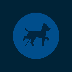 La interacción cotidiana entre los perros y el mobiliario urbano hace visible un problema técnico que requiere soluciones duraderas y materiales resistentes a la corrosión.