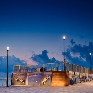 Eficiencia y sostenibilidad: soluciones de iluminación diseñadas para funcionar sin mantenimiento.