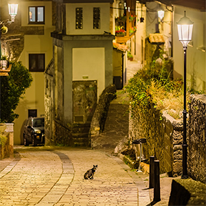 Instalaci&oacute;n ATP en las calles de San Vicente de la Barquera con luz c&aacute;lida y plena integraci&oacute;n en el entorno hist&oacute;rico.