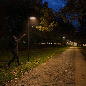 Vandal resistance is not an optional extra�it is a requirement for ensuring the continuous operation of public lighting.